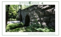 StonEzine04